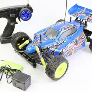 110 Scale Off Road Extreme Racing Buggy The Rogster Born To Race Electric Rtr Rc Buggy Remote Control Buggy High Quality Colors May Vary 0