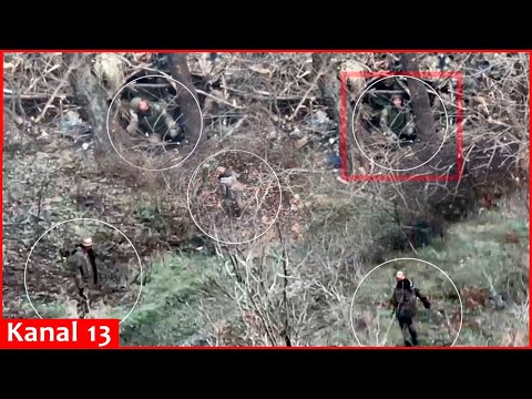 Russians regret following Ukrainian soldiers in forest as drone strikes – they drop weapons and flee