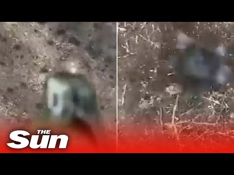 Ukrainian Ground Forces use a weaponised drone to drop explosives on Russian forces
