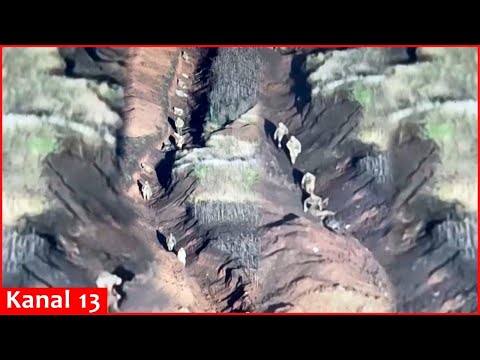 Drone sends a "gift" to Russians moving secretly in the trench in a row