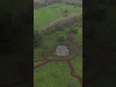 Galápagos Islands: Drone video of Santa Cruz Island