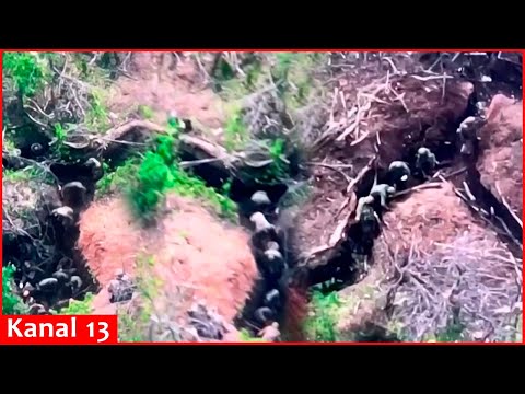 7 Ukrainian scouts took 22 Russians hostage in a trench in Bakhmut – Drone footage