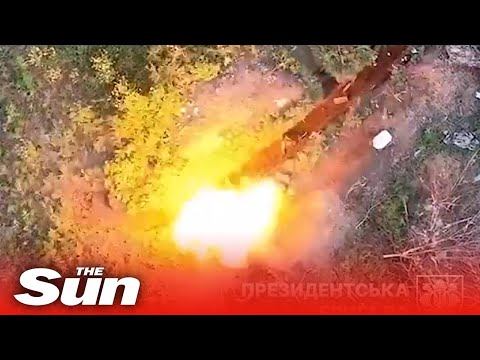 Ukrainian drone drops bombs on Russian machine gun and ammunition