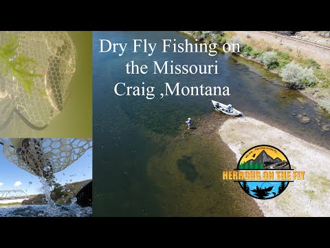 Dry Fly Fishing on Missouri River – fun underwater and drone video as well as TROUT! Craig, Montana