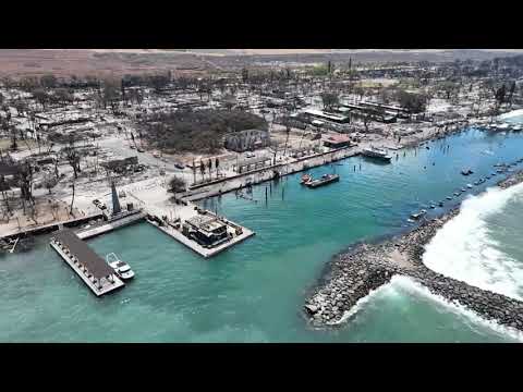 ￼ Aerial drone video of fire damage in Lahaina, Aina Nalu, the Banyan tree, pioneer Lahaina Harbor