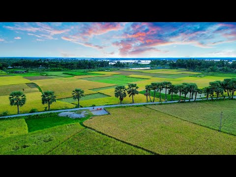 Drone Shots of our Village | Dji Mini 3 Pro Cinematic Shots 4K | My village